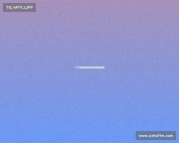 CBA退役球员的辉煌历程与未来发展探索