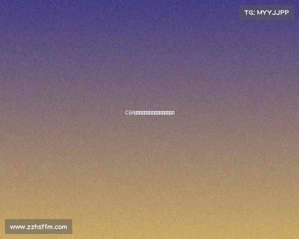 CBA退役球员的辉煌历程与未来发展探索