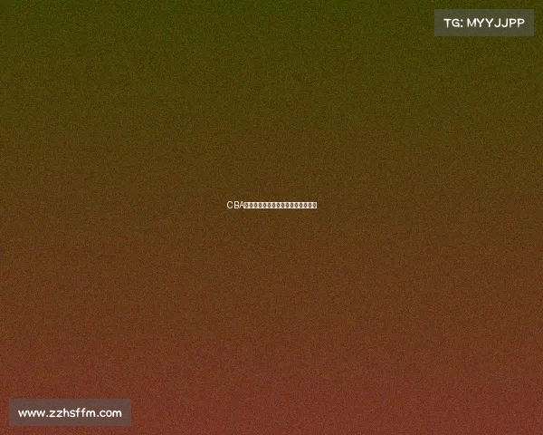 CBA退役球员的辉煌历程与未来发展探索